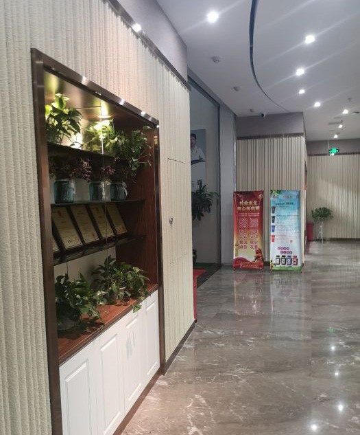 福州碧莲盛植发