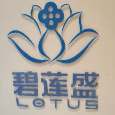 杭州碧莲盛植发